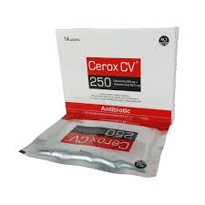Tab. Cerox CV 250mg+62.5 mg ( 14 pcs  )